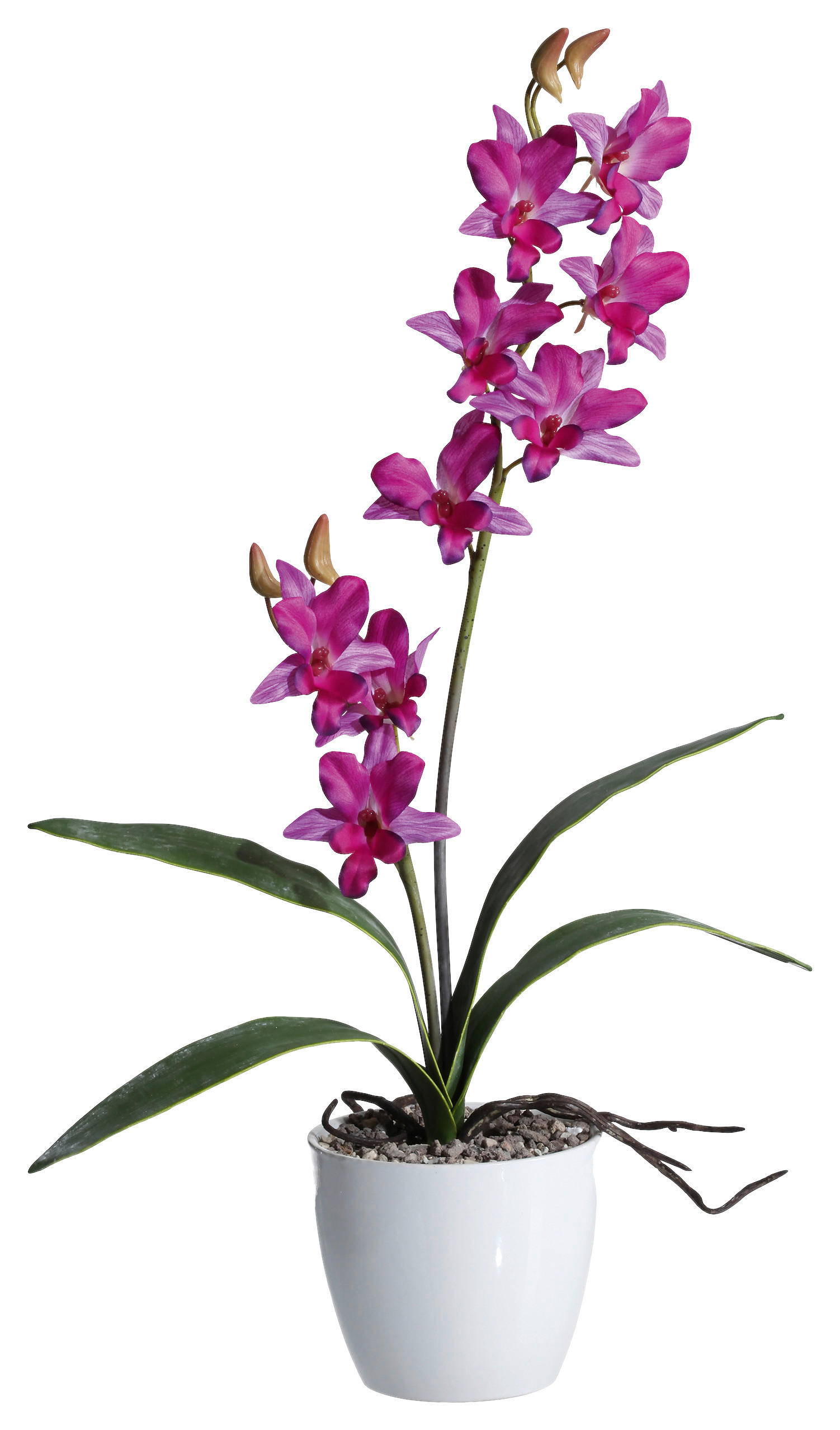 KUNSTPFLANZE Orchidee 60 cm  - Lila/Weiß, Design, Keramik/Kunststoff (60cm) - P & B