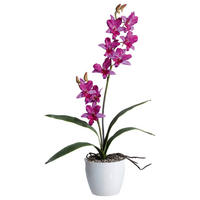 KUNSTPFLANZE Orchidee 60 cm  - Lila/Weiß, Design, Keramik/Kunststoff (60cm) - P & B
