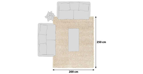 HOCHFLORTEPPICH 200/250 cm Fashion Shaggy Beige - Beige, Basics, Textil (200/250cm) - Novel