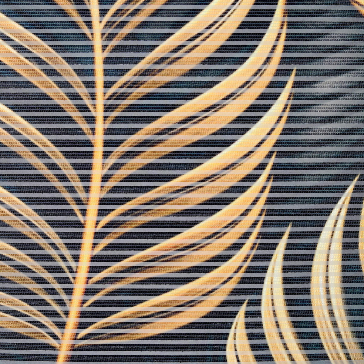 FLÄCHENVORHANG in Goldfarben halbtransparent  - Goldfarben, Basics, Textil (60/255cm) - Novel