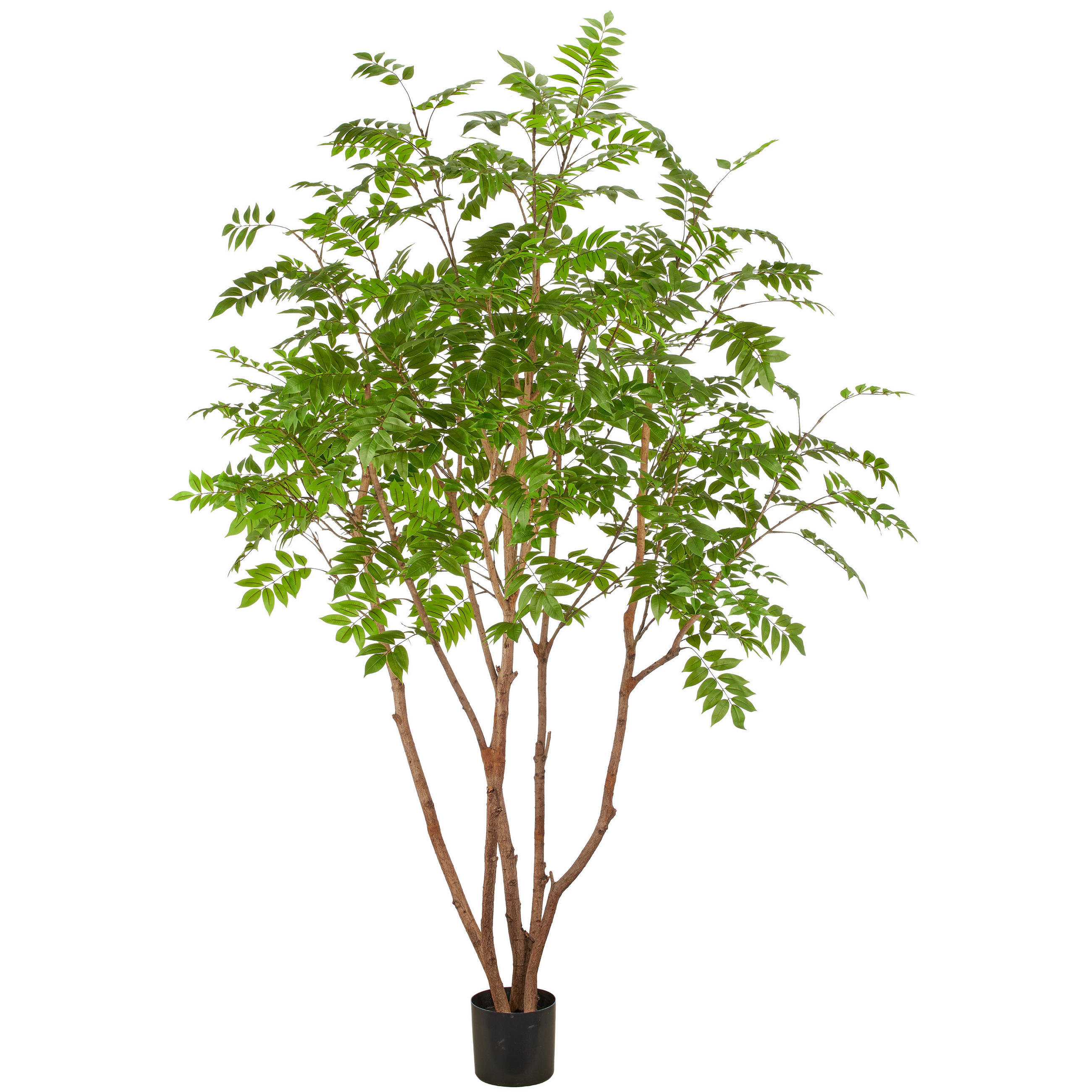 KUNSTPFLANZE 240 cm  - Schwarz/Braun, Basics, Kunststoff (240cm)