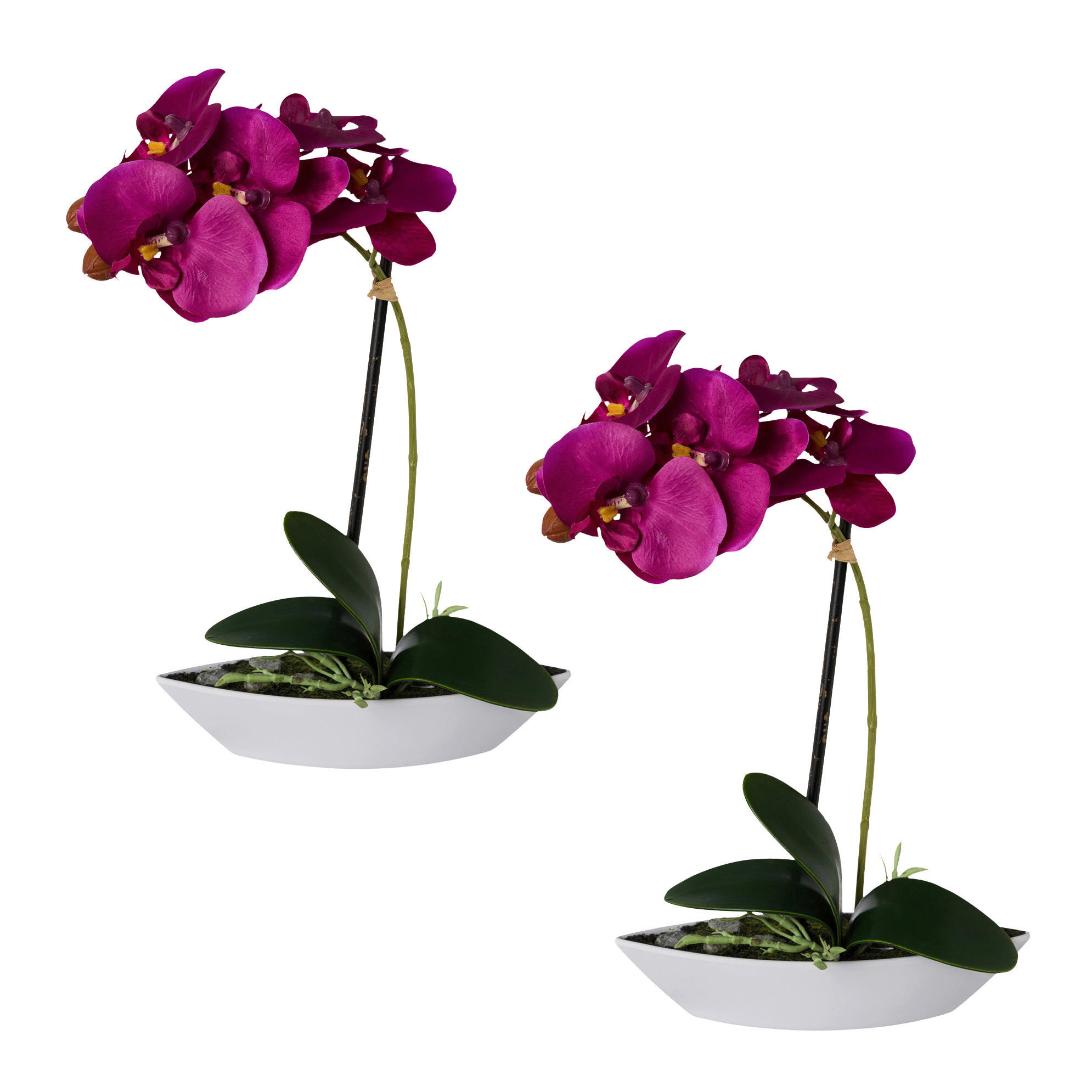 KUNSTPFLANZE Orchidee 30 cm  - Lila/Weiß, Design, Keramik/Kunststoff (30cm) - P & B