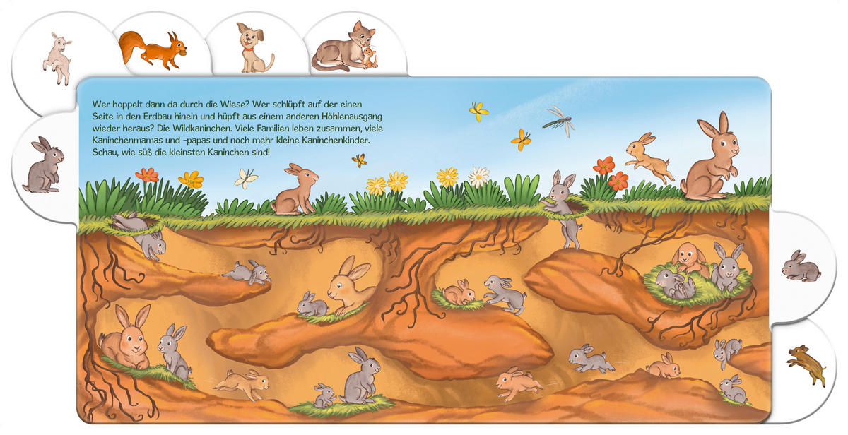 BUCH  - Multicolor, Basics, Papier (19/19/1,3cm) - Carlsen