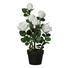 KUNSTBLUME - Creme/Grün, Basics, Kunststoff (58cm) KUNSTBLUME - Creme/Grün, Basics, Kunststoff (58cm)