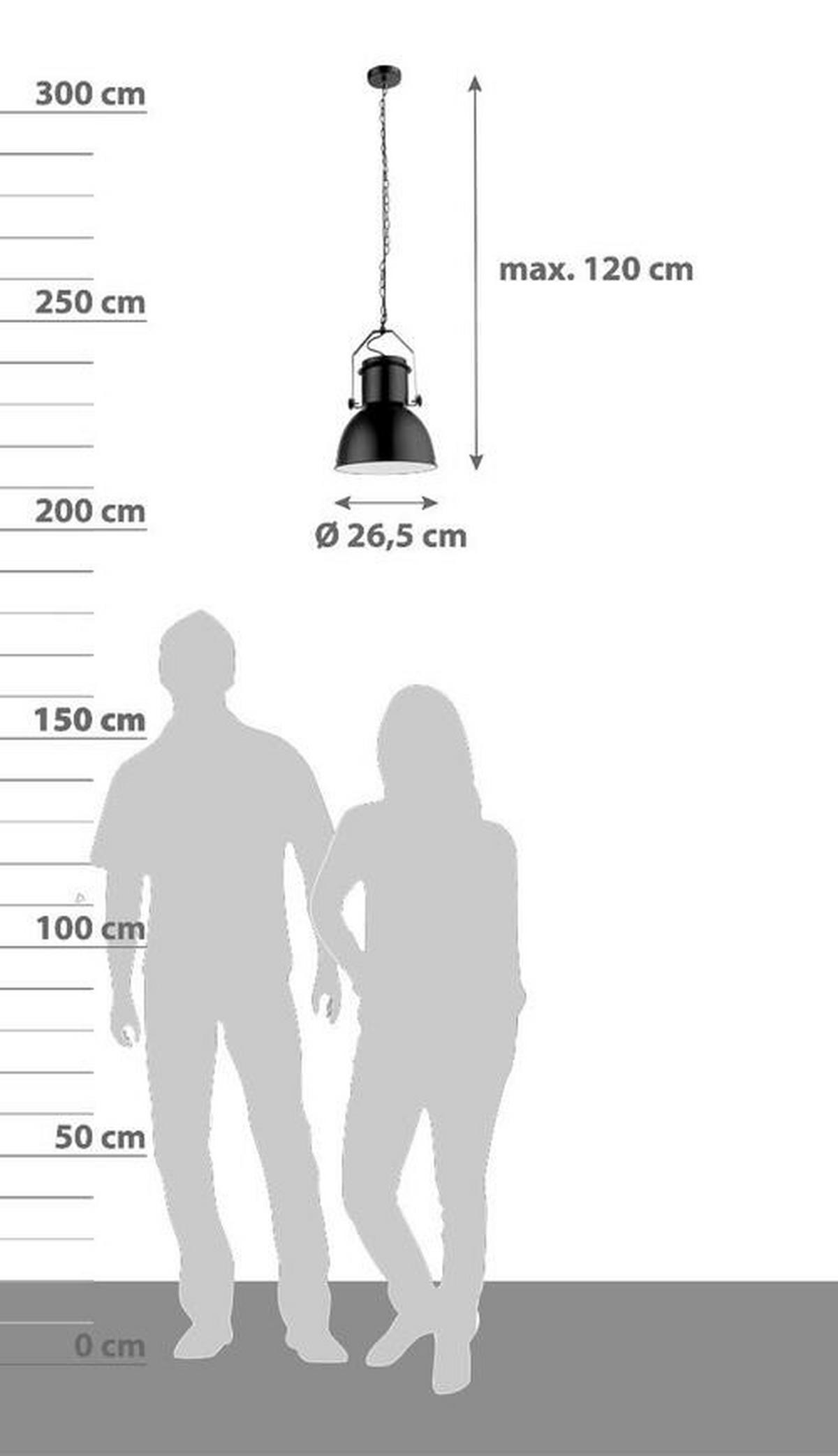 HÄNGELEUCHTE 26,5/120 cm    - Schwarz, Trend, Metall (26,5/120cm) - Globo