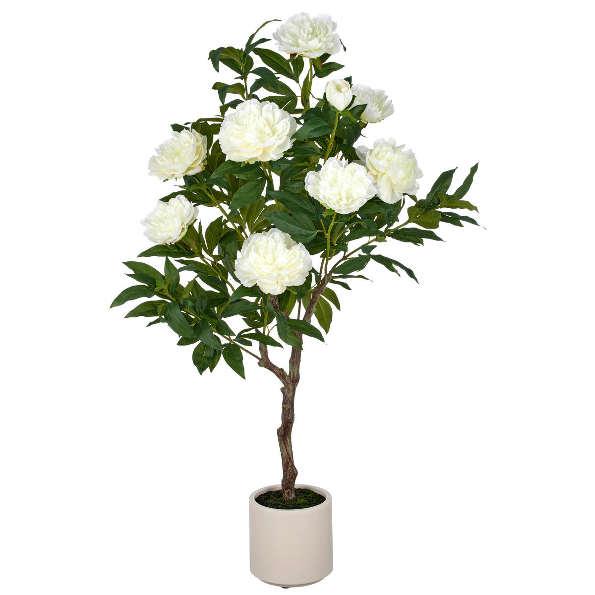 KUNSTPFLANZE  - Creme/Grün, Basics, Kunststoff (22/122/22cm)