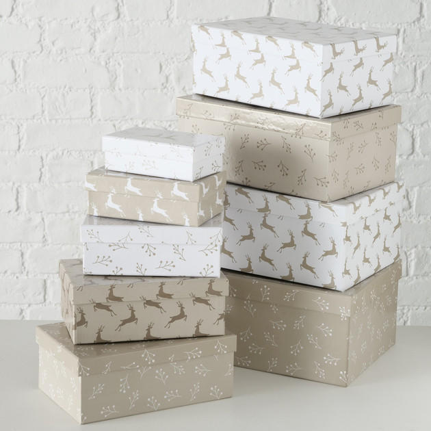 CUTIE PENTRU CADOURI  - Basics