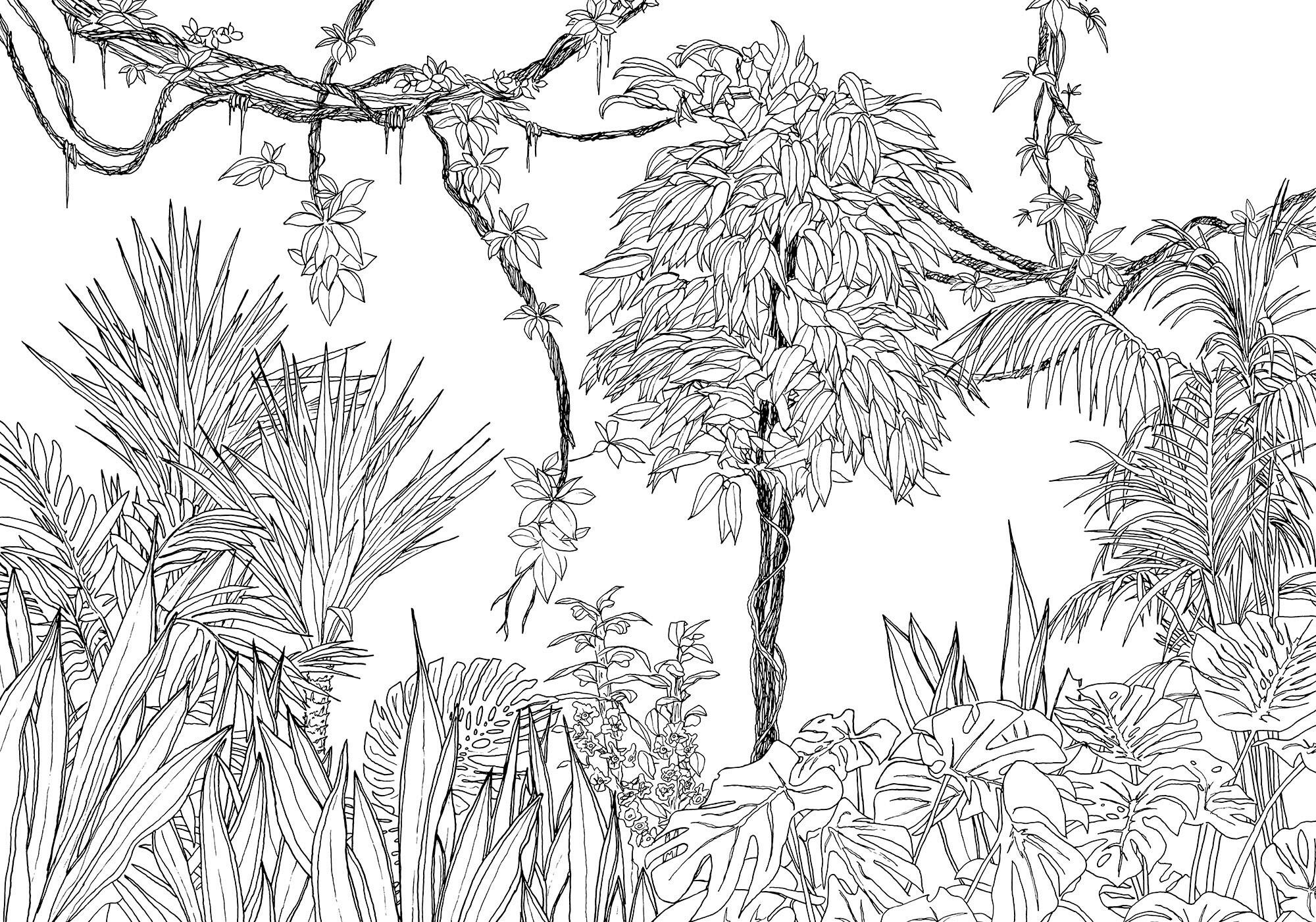 Xora Fototapete Schwarz, Weiß 400x280 cm