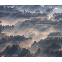 VLIESTAPETE  - Natur (300/250cm) - Komar