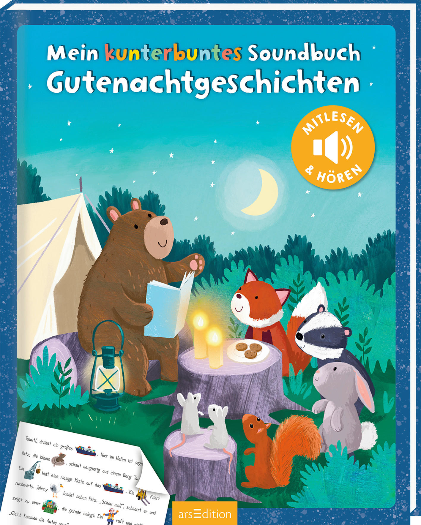 BUCH - Basics (27,60/22/1,80cm)