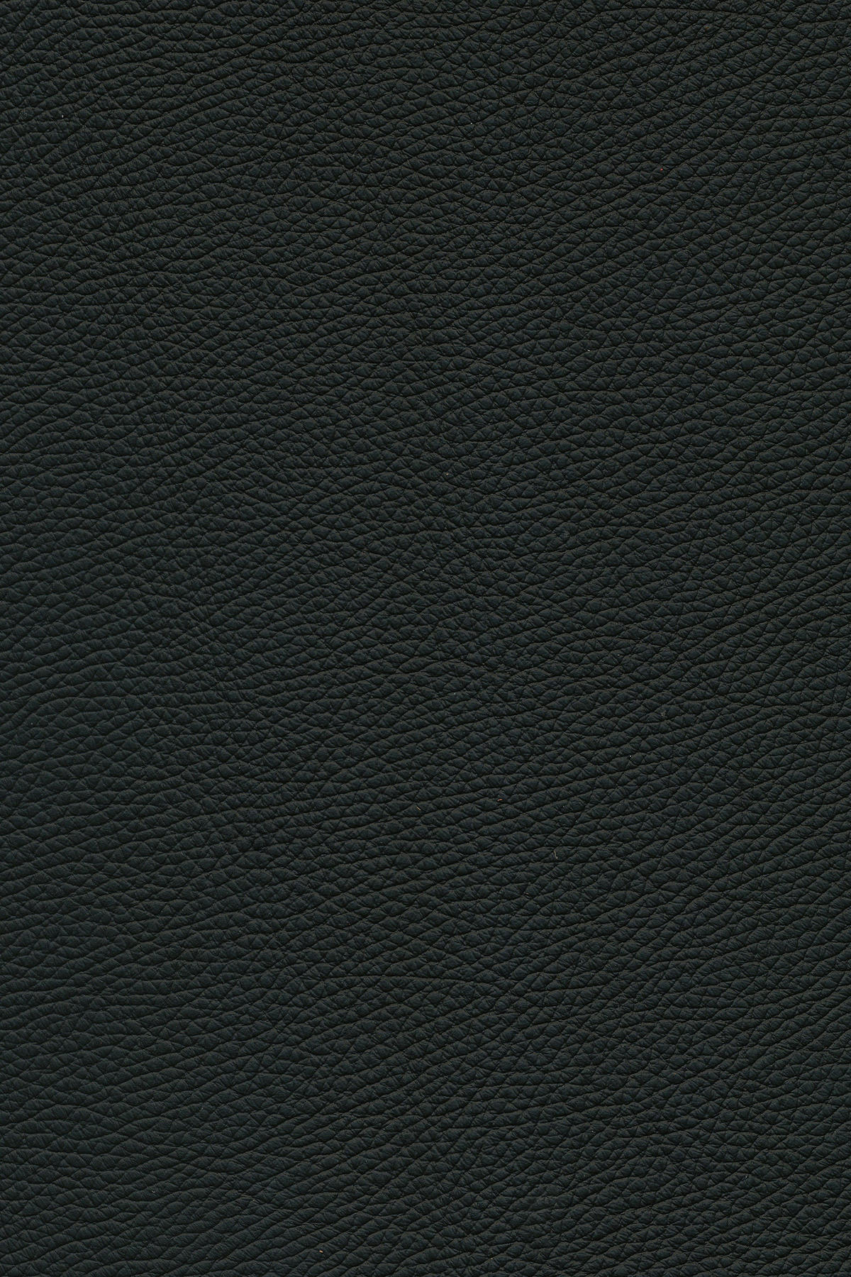 ECKSOFA in Echtleder Schwarz  - Schwarz, Design, Leder/Metall (319/182cm) - Valnatura
