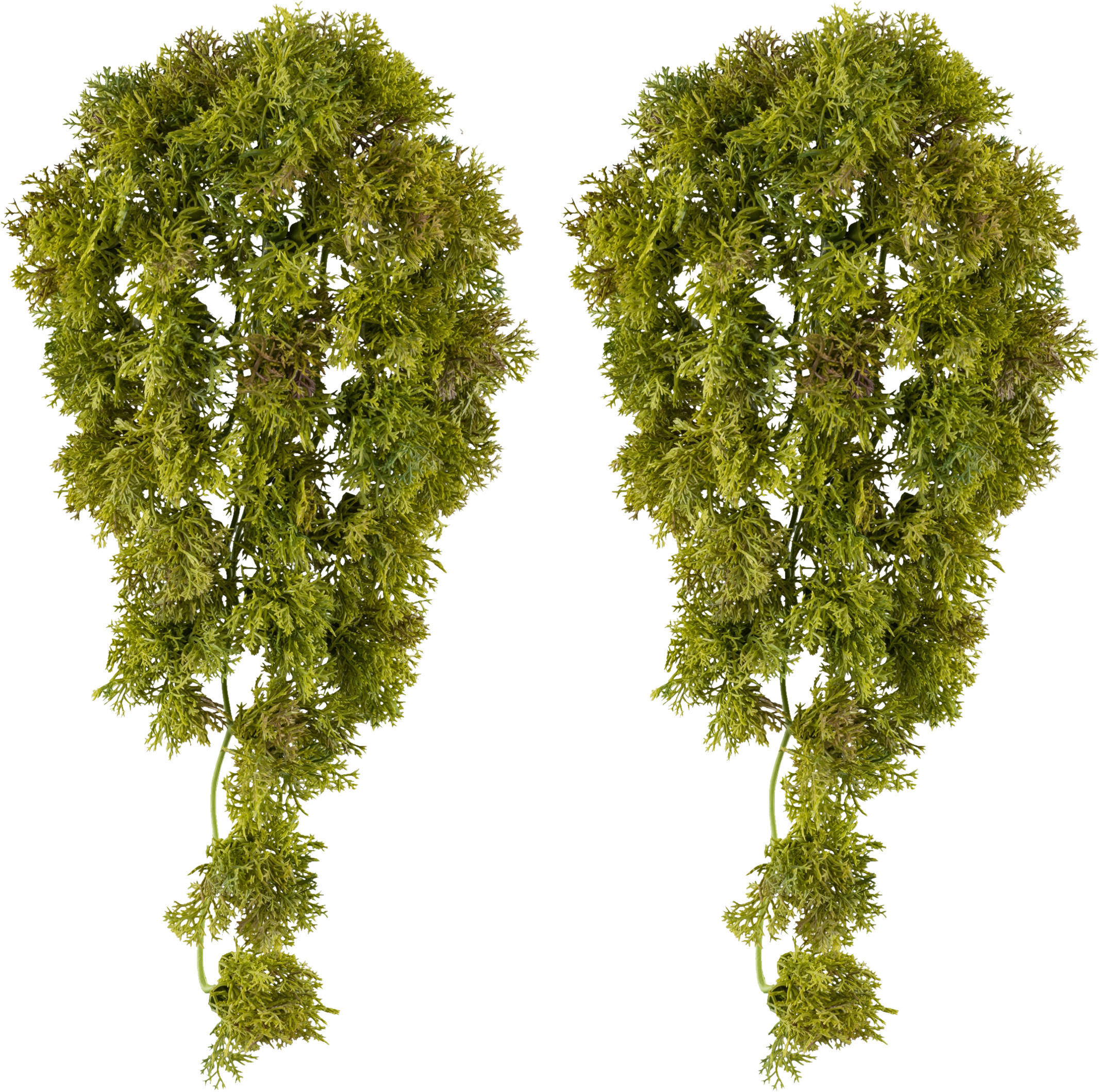 KUNSTPFLANZE 36 cm  - Grün, Design, Kunststoff (36cm) - P & B