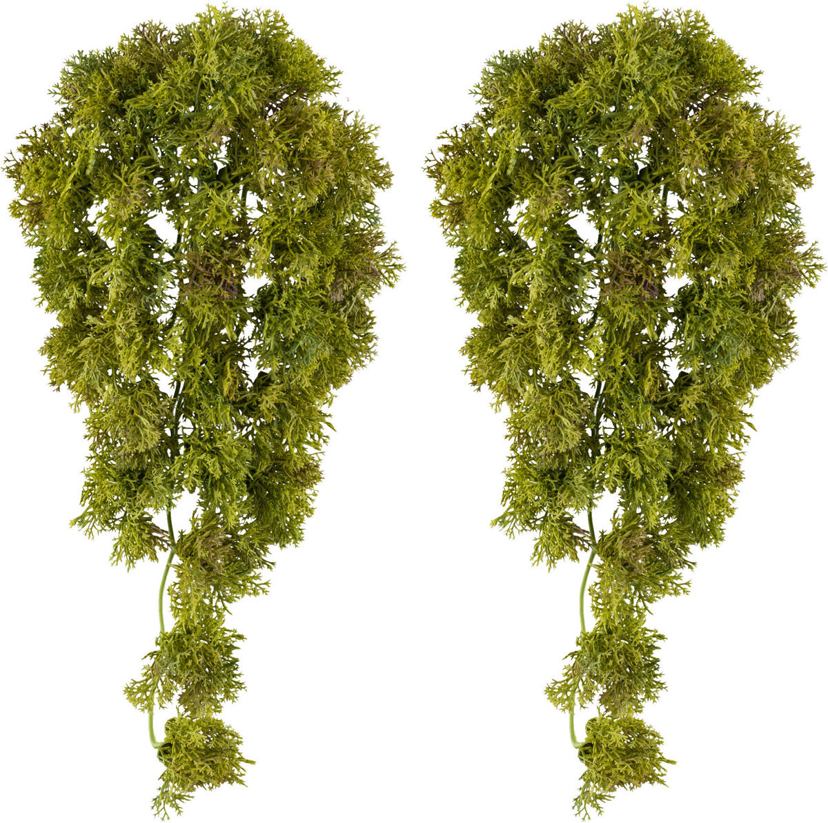 KUNSTPFLANZE 36 cm  - Grün, Design, Kunststoff (36cm) - P & B