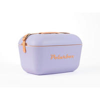 KÜHLBOX 45,3/30,9/29 cm  - Lila, Basics, Kunststoff (45,3/30,9/29cm) - Polarbox