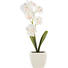 KUNSTPFLANZE - Pink/Gelb, Basics (18cm) KUNSTPFLANZE - Pink/Gelb, Basics (18cm)