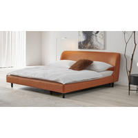 POLSTERBETT 180/200 cm, inkl. Lattenrost,  in Braun  - Schwarz/Braun, MODERN, Leder/Holz (180/200cm) - Livetastic