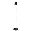 AKKU-STEHLEUCHTE 20/117 cm    - Schwarz, KONVENTIONELL, Metall (20/117cm) - Novel