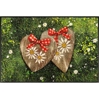 FUßMATTE  50/75 cm  Multicolor  - Multicolor, Basics, Kunststoff/Textil (50/75cm) - wash+dry