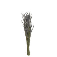 TROCKENBLUMENSTRAUß  - Naturfarben, Basics, Naturmaterialien (7,5/7,5/88cm)