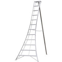LEITER - Silberfarben, Basics, Metall (272/360/147cm) - Ambia Garden