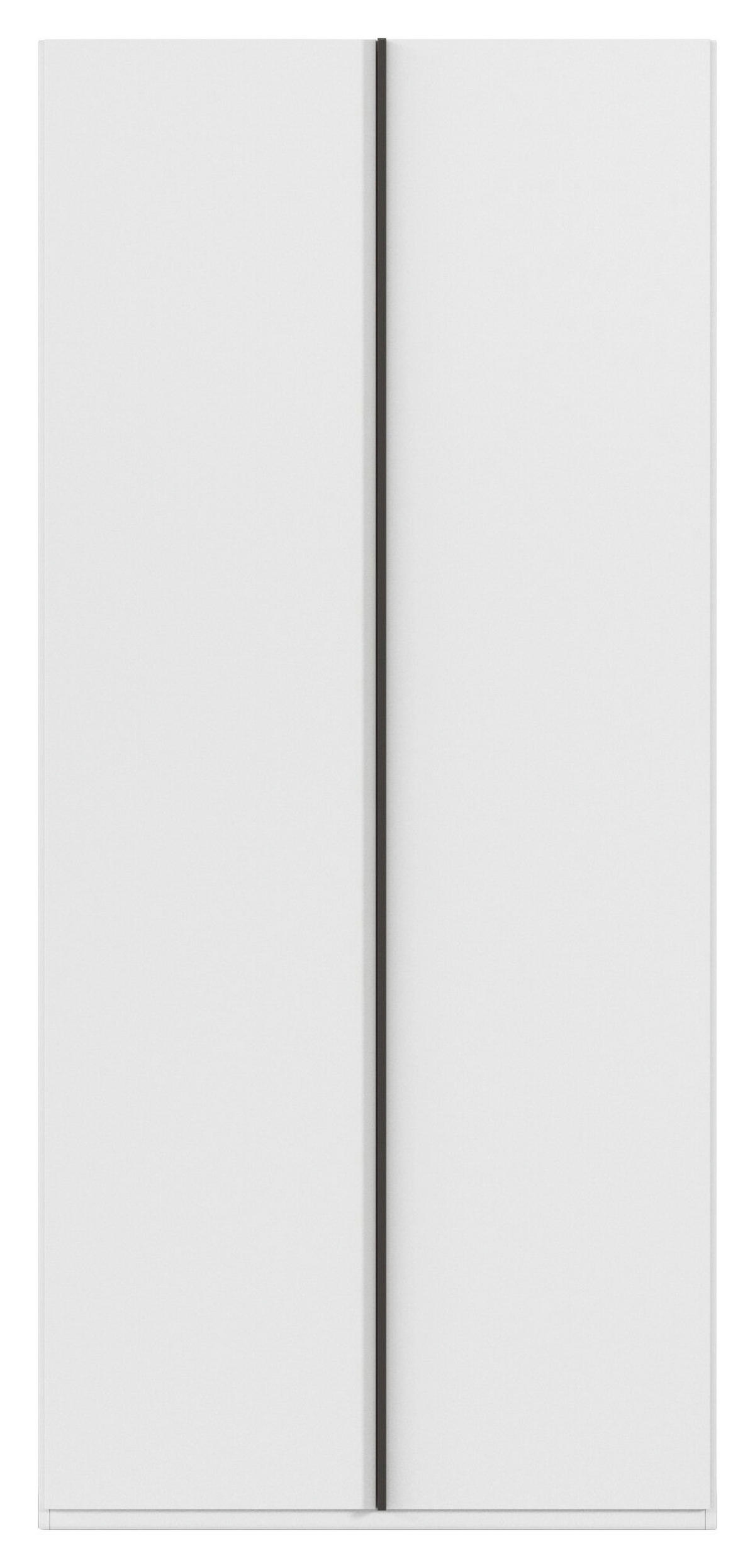 DREHTÜRENSCHRANK 101/235/61 cm,  in Weiß, 2-türig  - Graphitfarben/Weiß, Basics, Holzwerkstoff/Metall (101/235/61cm) - Novel
