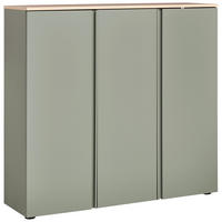 SCHUHSCHRANK Grün, Eichefarben  - Eichefarben/Schwarz, Design, Holzwerkstoff/Kunststoff (120,3/113,2/34cm) - Voleo