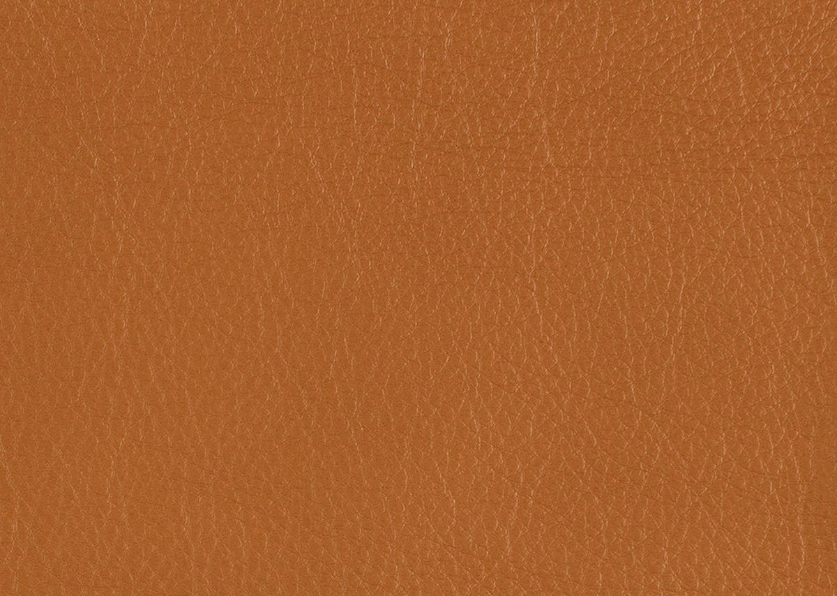 RÉCAMIERE in Echtleder Currygelb  - Chromfarben/Currygelb, Design, Leder/Metall (209/85-109/95-16cm) - Dieter Knoll