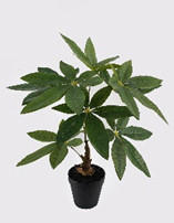 MŰNÖVÉNY - fekete/zöld, Basics, műanyag