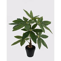 MŰNÖVÉNY - fekete/zöld, Basics, műanyag