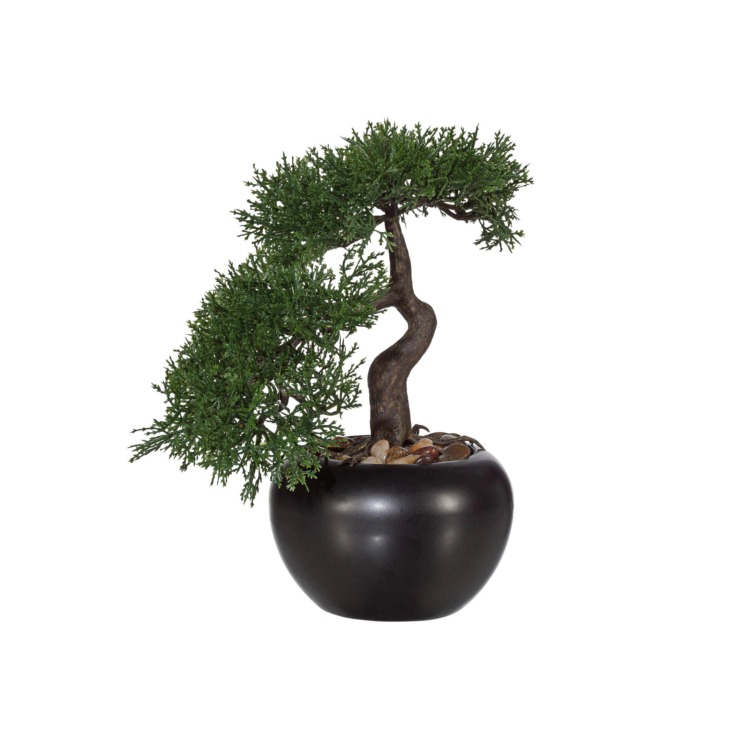 KUNSTPFLANZE Bonsai 25 cm  - Schwarz/Braun, Design, Keramik/Kunststoff (25cm) - P & B