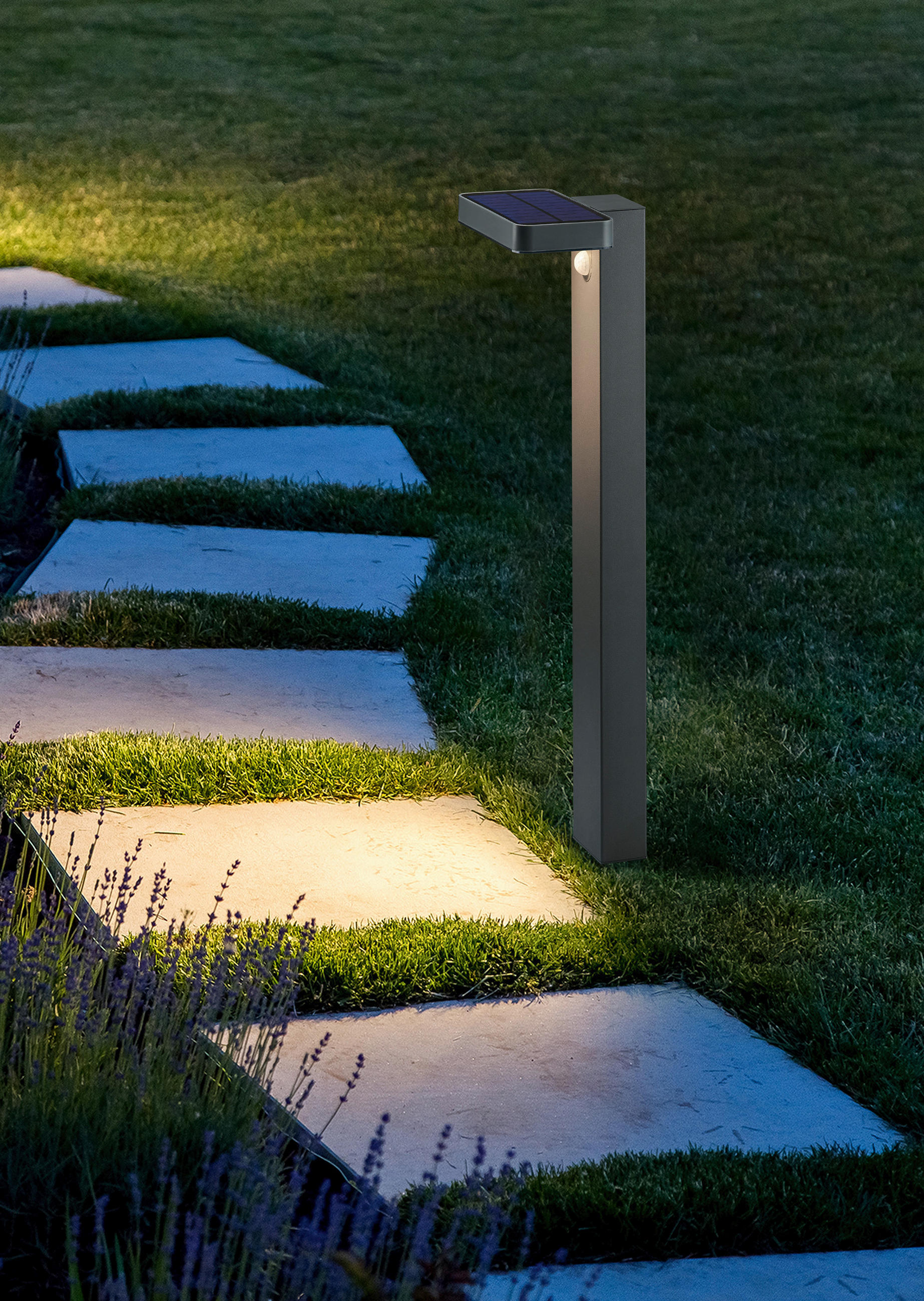 LED-AUßENLEUCHTE 18/60/14 cm - Anthrazit, Design, Metall (18/60/14cm) - P & B