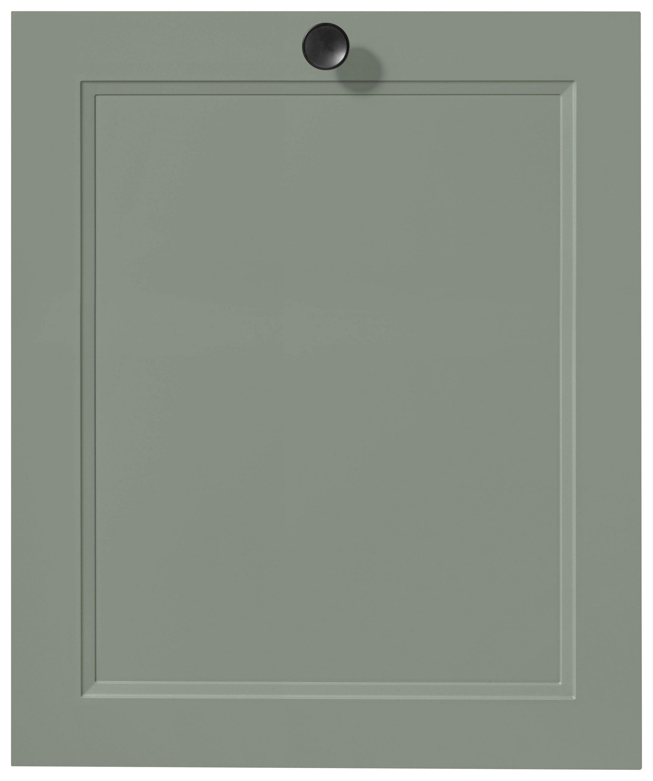 GESCHIRRSPÜLERFRONT 45/72/2,2 cm  in Grün  - Edelstahlfarben/Grün, MODERN, Holzwerkstoff/Metall (45/72/2,2cm) - Nobilia