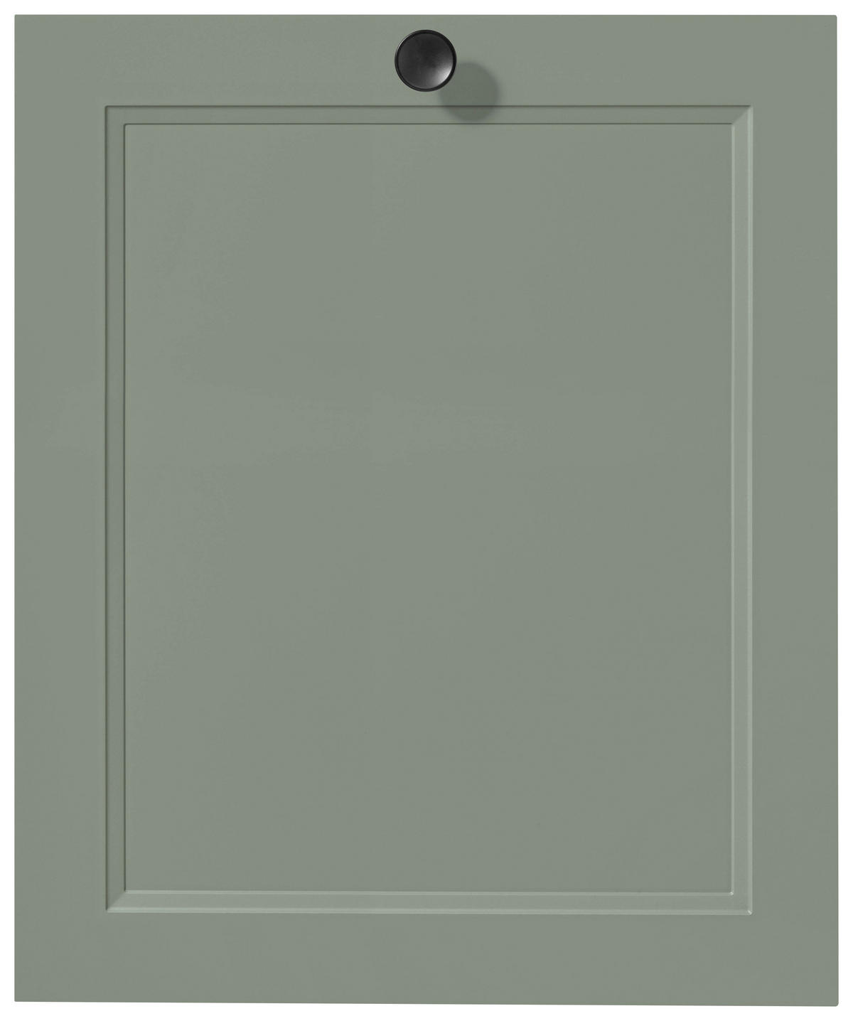 GESCHIRRSPÜLERFRONT 45/72/2,2 cm  in Grün  - Edelstahlfarben/Grün, MODERN, Holzwerkstoff/Metall (45/72/2,2cm) - Nobilia