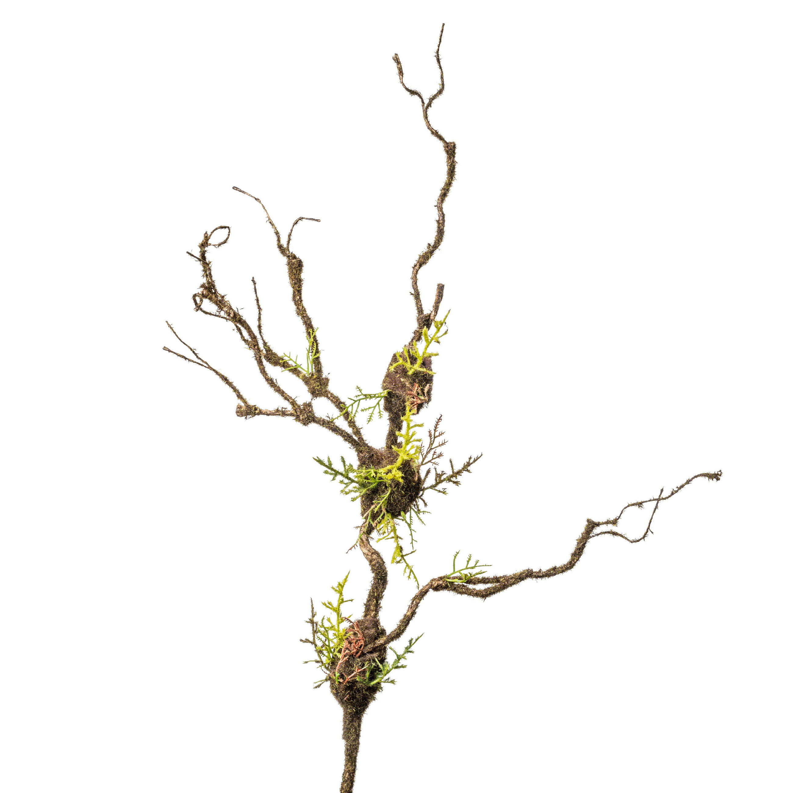 Floare Artificială - maro, Basics, plastic (72cm)