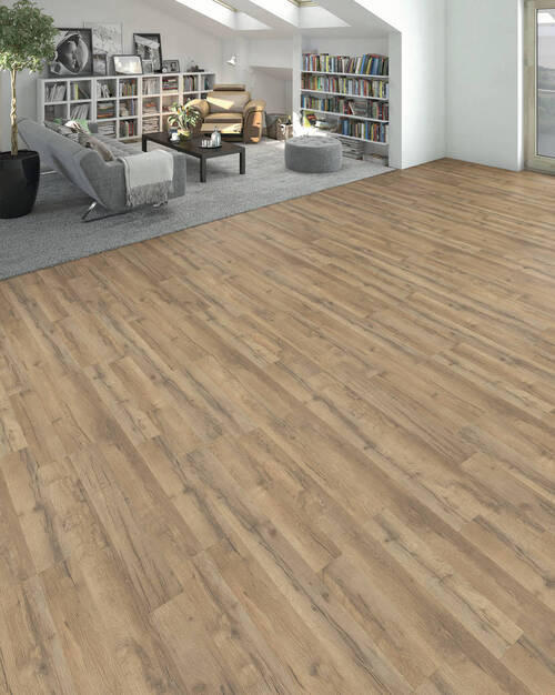LAMINATBODEN Living by HARO Laminat Sonderedition NKL 31  per  m² - Hellbraun, Basics, Holzwerkstoff (19.3/128.2cm) - Living by HARO