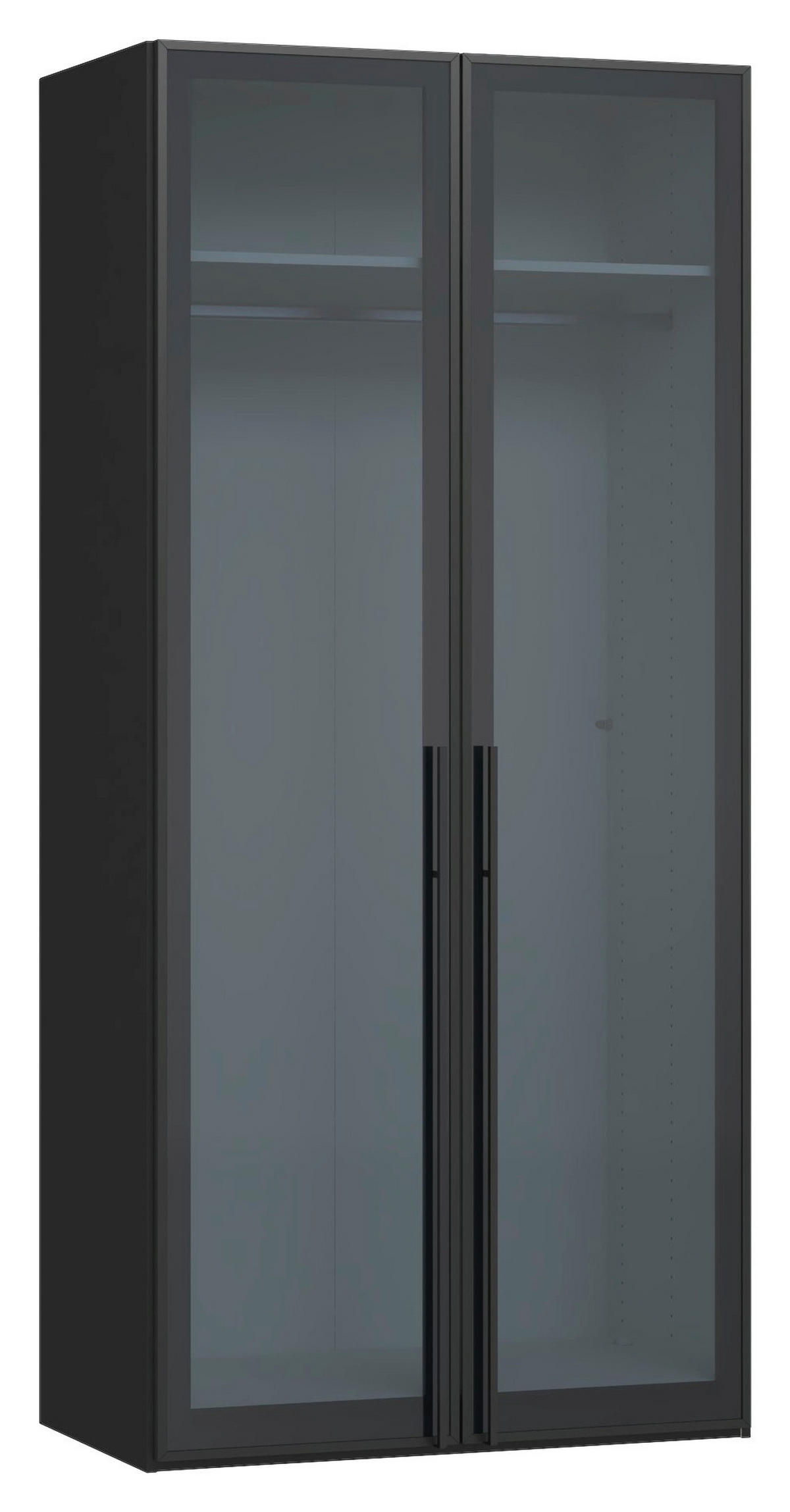 DREHTÜRENSCHRANK 102/220/59 cm,  in Schwarz, 2-türig  - Schwarz, Design, Glas/Holzwerkstoff (102/220/59cm) - Jutzler