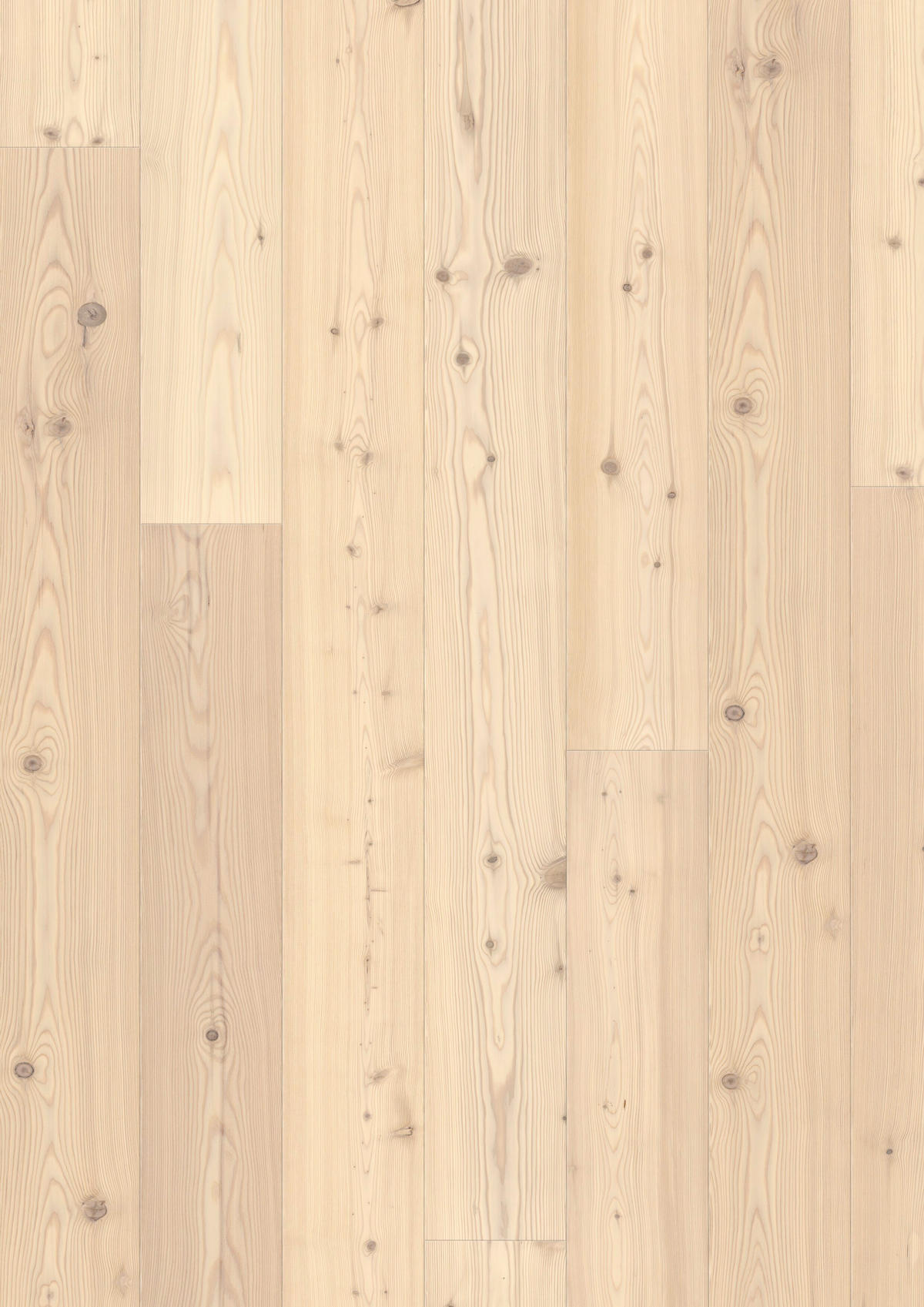 LANDHAUSDIELE Marcanto Lärche Weiss 100016501  per  m² - Design, Holz (241,5/18,2/1,3cm) - Tilo