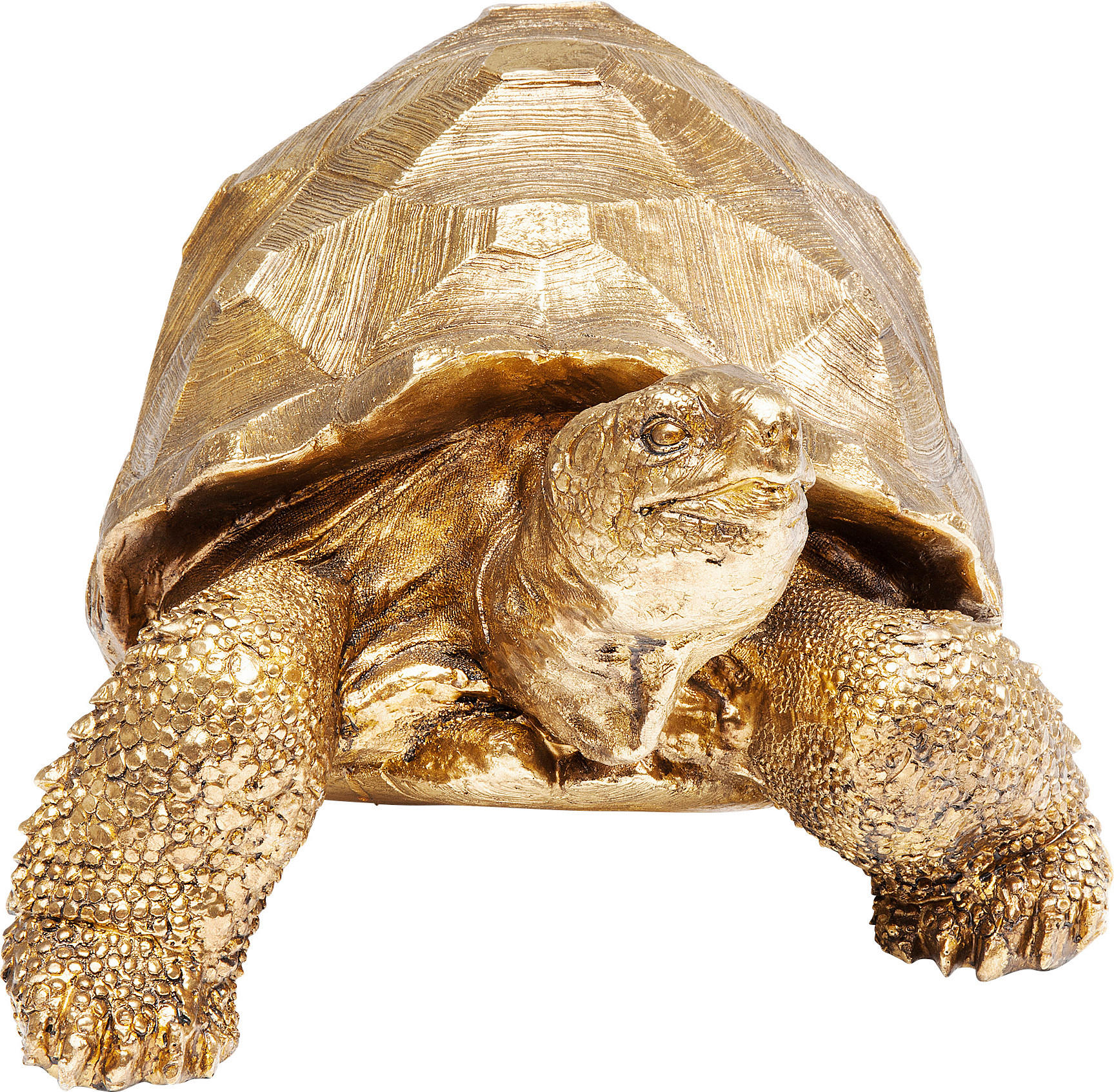 Turtle отзывы. Kare Design черепаха. Статуэтка Turtle Kare k221279. Коллекция черепашек. Грифовая черепаха фигурка.