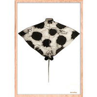 BILD Tiere  - Hellbraun/Schwarz, Basics, Holz/Kunststoff (50/70/10cm)