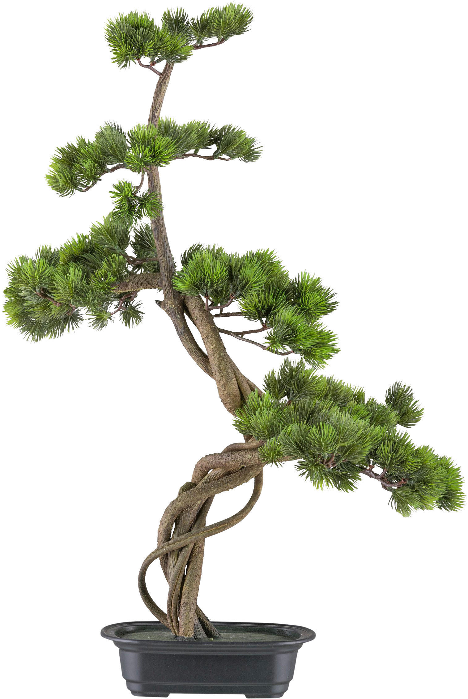 KUNSTPFLANZE Bonsai 70 cm  - Schwarz/Braun, Design, Kunststoff (70cm) - P & B
