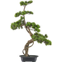 KUNSTPFLANZE Bonsai 70 cm  - Schwarz/Braun, Design, Kunststoff (70cm) - P & B