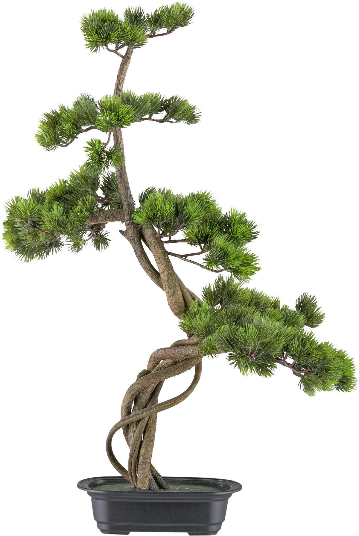 KUNSTPFLANZE Bonsai 70 cm  - Schwarz/Braun, Design, Kunststoff (70cm) - P & B