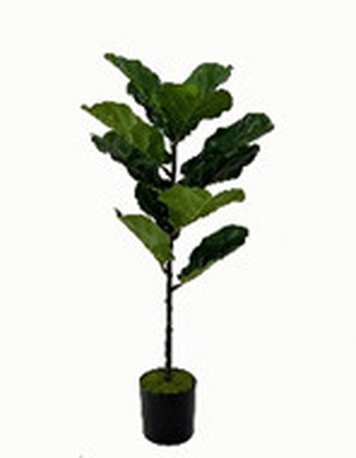 MŰNÖVÉNY - fekete/zöld, Basics, műanyag