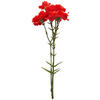 KUNSTBLUME - Rot/Grün, Basics, Kunststoff/Textil (30cm)
