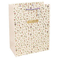 GESCHENKTASCHE  - Basics, Papier (17/22.5/9.2cm)