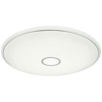 STROPNA LED-SVETILKA   /600-6000 lm/2700-6500 K/230 V/ - Basics (78,5/10cm) - Globo