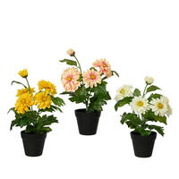 Plantă Artificială - Basics (25,00/25,00/40,00cm)