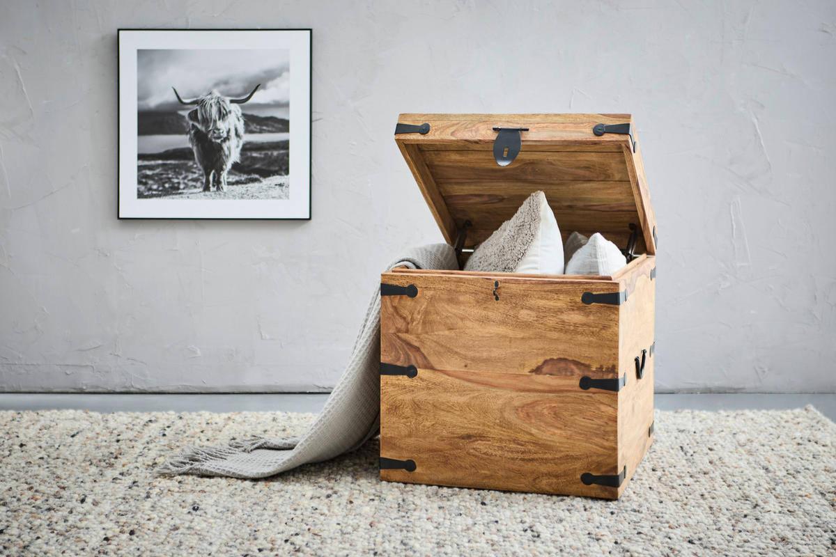 TRUHE Holz Sheesham Hartholz  - Sheeshamfarben, KONVENTIONELL, Holz (48/48/48cm) - Livetastic
