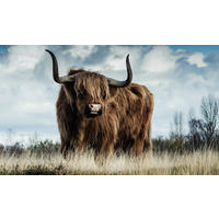 GLASBILD Tiere 118/70 cm  - Braun, Design, Metall (118/70cm) - Wandkraft