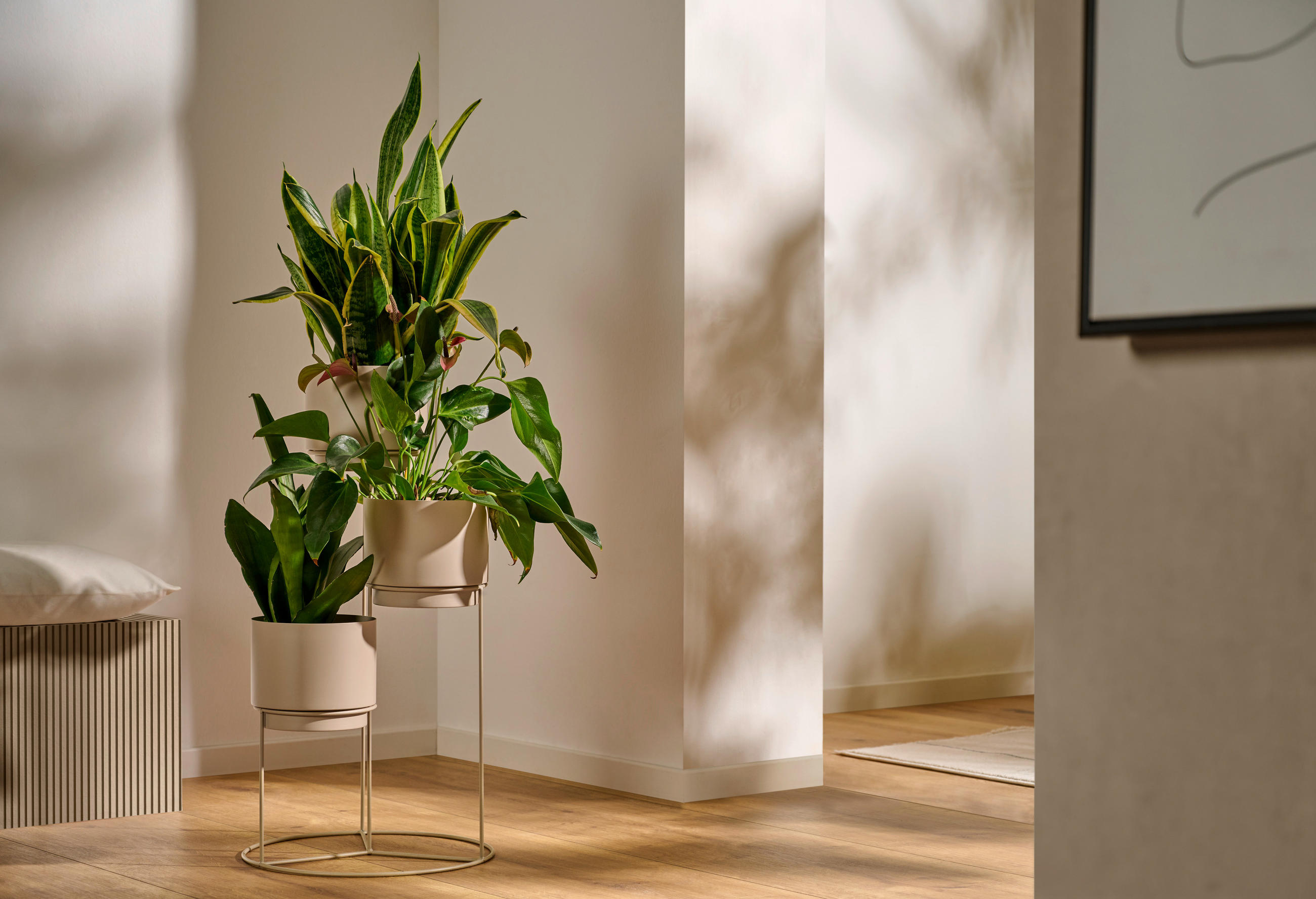 KVĚTINÁČ kov, 36/70 cm - šedá, Trend, kov (36/70cm) - Ambia Home